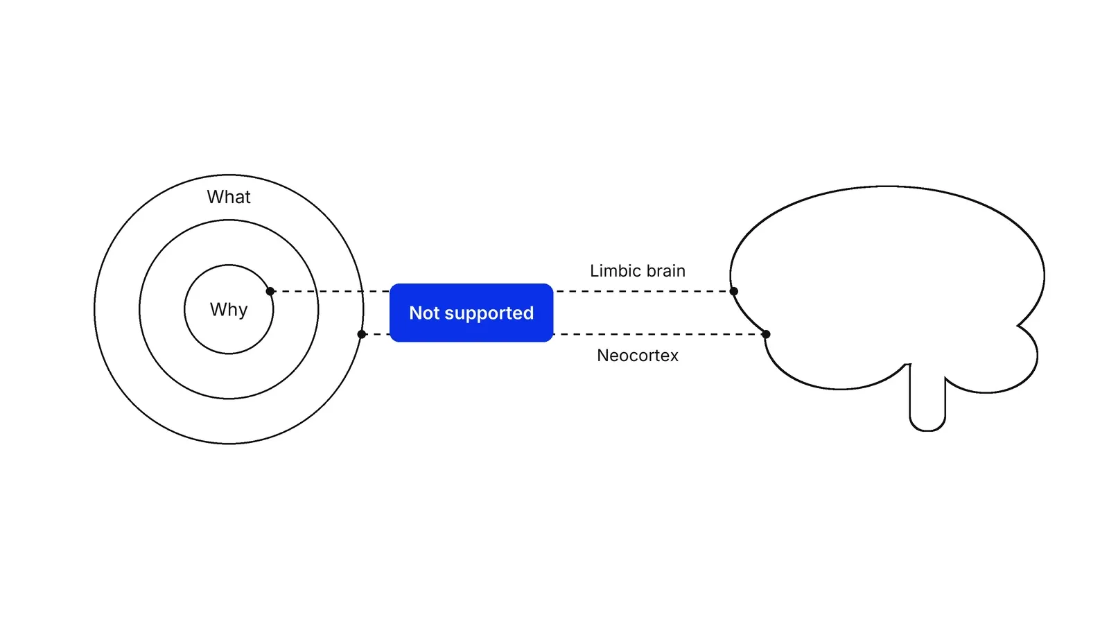 Three rings on the left with Why at the centre and What outside, joined by dashed lines labelled Limbic brain and Neocortex to a brain outline on the right; a blue label across the lines reads Not supported.