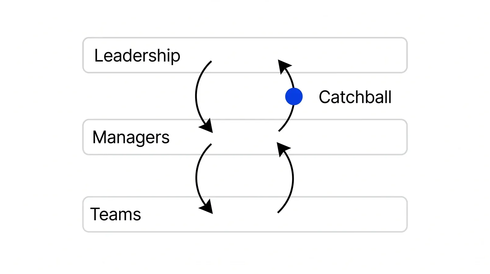 Three stacked bars labelled Leadership, Managers and Teams. Between each pair of levels a downward arrow and an upward arrow form a loop, and a blue ball sits on the upper loop labelled Catchball.