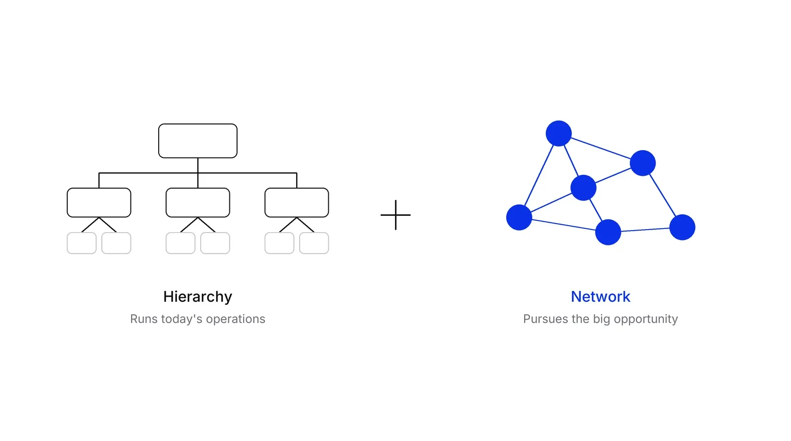 A tree of boxes labelled Hierarchy, Runs today's operations, a plus sign, and a blue network of connected circles labelled Network, Pursues the big opportunity.