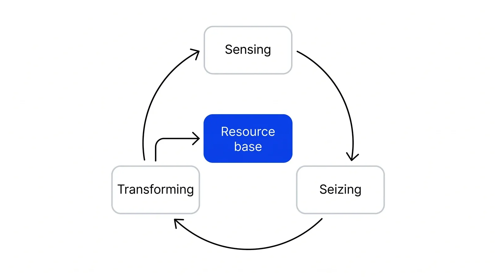 Three boxes in a clockwise loop, Sensing, Seizing and Transforming, around a blue block labelled Resource base. An arrow from Transforming points into the block.